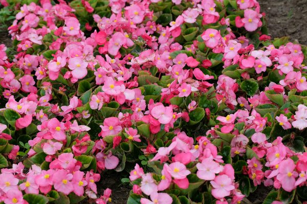 Guide Ultime pour Réussir votre Déménagement National : Astuces et Conseils Essentiels